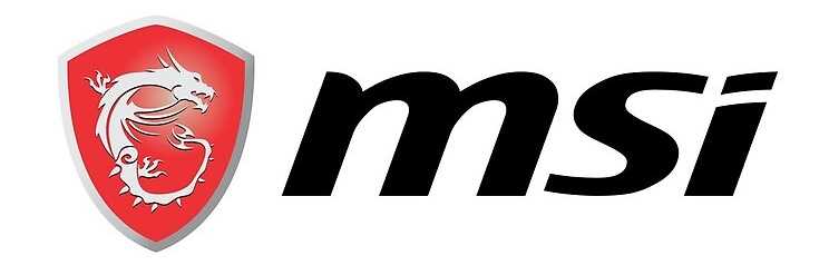 MSI