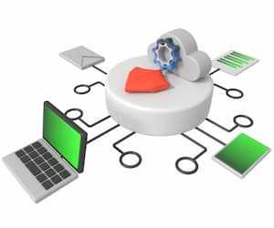 Router, Security, NPB